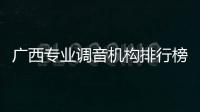 廣西專業調音機構排行榜