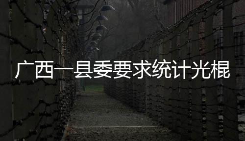 廣西一縣委要求統(tǒng)計(jì)光棍數(shù):廣西河池光棍問題