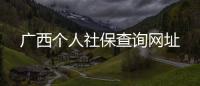 廣西個(gè)人社保查詢網(wǎng)址