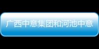 廣西中意集團和河池中意房地的詳細介紹