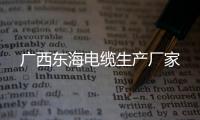 廣西東海電纜生產廠家