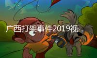 廣西打架事件2019視頻包括廣西打架案件2019的具體內容