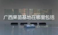 廣西果苗基地在哪里包括云南廣西果苗的詳細情況
