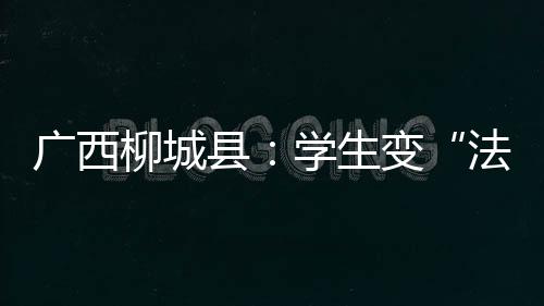 廣西柳城縣：學生變“法官”審理香煙買賣糾紛