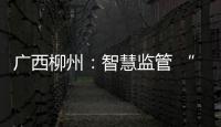 廣西柳州：智慧監管 “監檢結合”推動化妝品標簽整治見成效