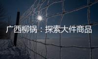 廣西柳鍋：探索大件商品電子商務