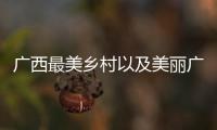 廣西最美鄉村以及美麗廣西宜居鄉村的情況分析