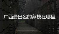 廣西最出名的荔枝在哪里:廣西特有荔枝