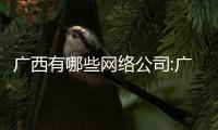 廣西有哪些網絡公司:廣西屬地知名網絡