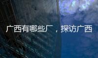 廣西有哪些廠，探訪廣西制造業的繁榮景象