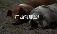 廣西有那些廠