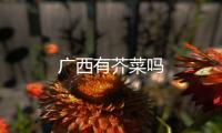 廣西有芥菜嗎