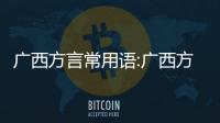 廣西方言常用語:廣西方言群