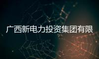 廣西新電力投資集團有限責任公司博白供電局:廣西博白電業集團