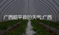 廣西昭平縣的天氣:廣西昭平縣天氣