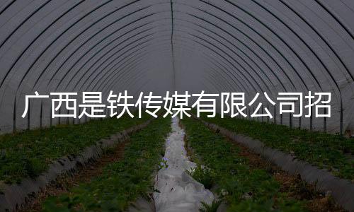 廣西是鐵傳媒有限公司招聘:廣西鐵旅傳媒集團公司