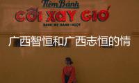 廣西智恒和廣西志恒的情況說明