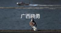 廣西曉勇