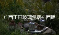 廣西正田玻璃包括廣西擁田的詳細(xì)情況