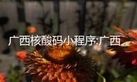 廣西核酸碼小程序:廣西核酸98