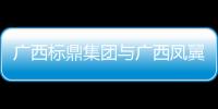 廣西標鼎集團與廣西鳳翼天翔無人系統制造中心開工