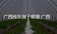 廣西桂東屬于哪里:廣西桂東桂西