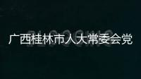 廣西桂林市人大常委會(huì)黨組成員、副主任唐修璇接受審查調(diào)查