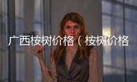 廣西桉樹價格（桉樹價格）