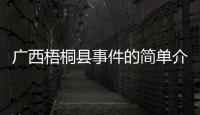 廣西梧桐縣事件的簡單介紹