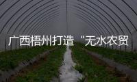 廣西梧州打造“無水農貿市場”