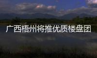 廣西梧州將推優質樓盤團購活動,房價最多優惠30%