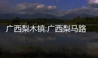 廣西梨木鎮(zhèn):廣西梨馬路
