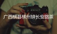 廣西橫縣橫州鎮長安路茶廠:廣西橫縣長春茶廠