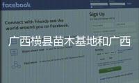 廣西橫縣苗木基地和廣西橫縣桑苗的詳細介紹