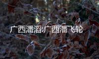 廣西潘滔:廣西潘飛輪