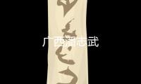 廣西潘志武