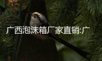 廣西泡沫箱廠家直銷:廣西eps泡沫批發