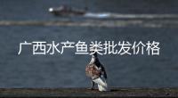 廣西水產魚類批發價格