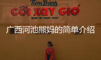 廣西河池熊媽的簡單介紹