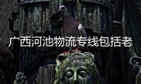 廣西河池物流專線包括老河池的快遞的具體內(nèi)容