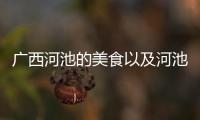 廣西河池的美食以及河池美食測評團(tuán)的情況分析