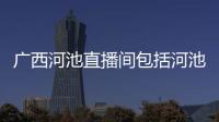 廣西河池直播間包括河池直播視角的詳細情況