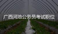 廣西河池公務員考試職位表包括國考河池的詳細情況