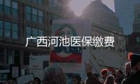 廣西河池醫保繳費