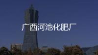 廣西河池化肥廠