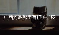 廣西河池哪里有打樁護(hù)皮賣