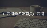 廣西河池名吃有關廣西河池的早餐的詳細內容