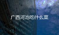 廣西河池吃什么菜