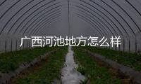 廣西河池地方怎么樣