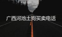 廣西河池土狗買賣電話